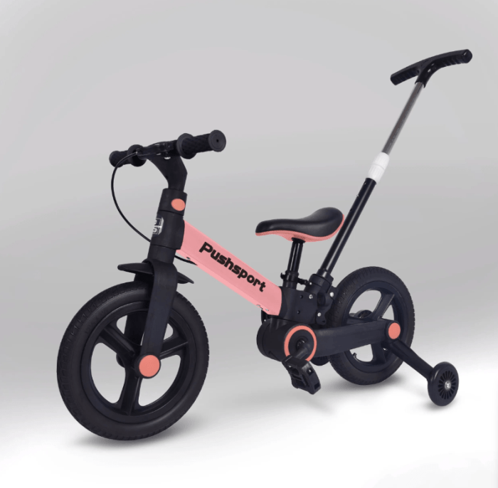 Велосипед PUSH SPORT M10 pink (Рожевий)